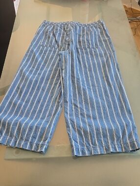 American Eagle Outfitters Blue and White Striped Capris